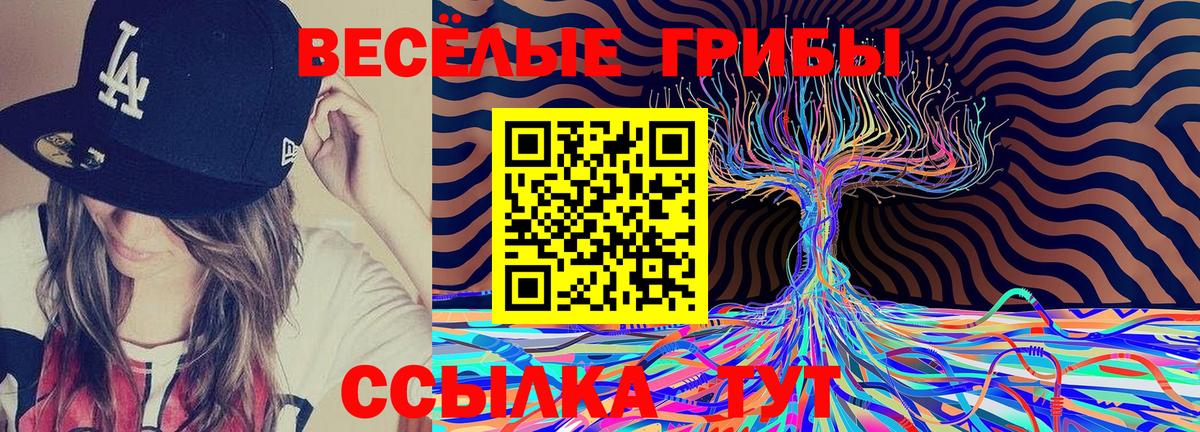Псилоцибиновые грибы GOLDEN TEACHER Бахчисарай
